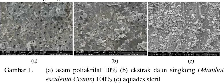 Gambar 1.  (a) asam poliakrilat 10% (b) ekstrak daun singkong (Manihot 