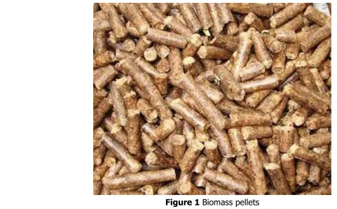 Figure 1 Biomass pellets  Source: www.spimpex.in/biomass-pellets.htm