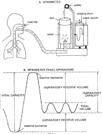 Gambar 2.6 Interpretasi Spirometri  (Sumber: Benditt, 2008) 