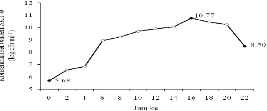 Gambar  3    Kurva  pertumbuhan  bakteri  SKT-b  yang  dikultur  di  media  SWC  cair  dan  dihitung  dengan  metode  total plate count 