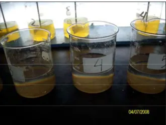 Gambar 4a.  Larutan berwarna kuning dan endapan coklat yang terbentuk pada   pH 6 