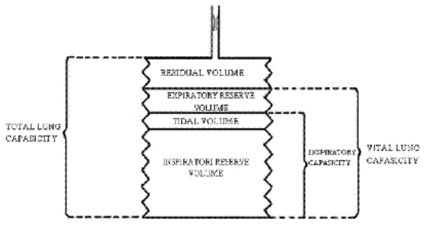 Gambar  2.  Diagram  perhitungan  kapasitas  dan  volume paru-paru 