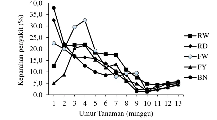 Gambar 10    Keparahan penyakit karat daun pada lima varieras krisan RW (Reagent White); RD (Reagent Dark); FW (Fiji White); FY (Fiji Yellow); dan BN (Bunga Nusantara) 