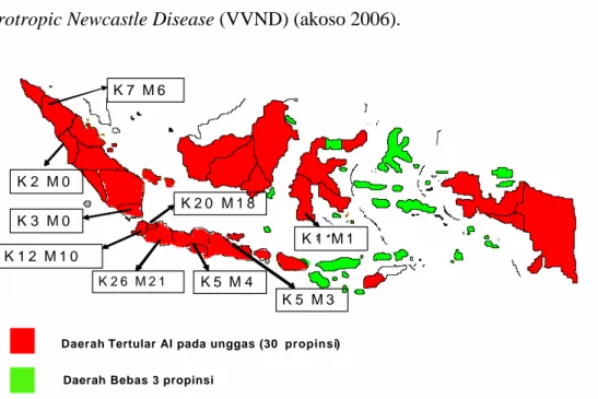 Gambar 2.   Penyebaran Daerah Endemis AI Pada Unggas (kumulatif 2003-2007)    Dan Manusia di Indonesia (Juni 2005-25 Januari 2007)