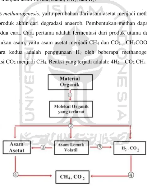 Gambar 2.1 Proses Reaksi Biokimia dalam Reaktor Biogas 
