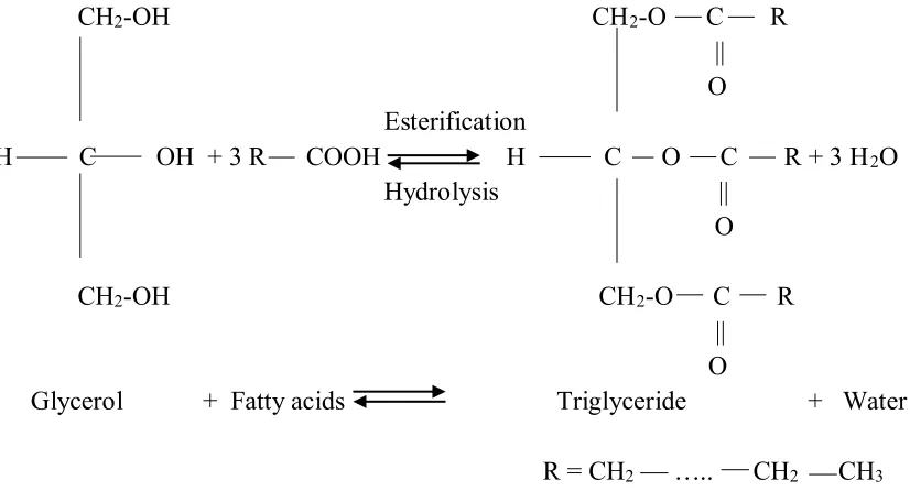 Figure 2.2: Chemical constitution of natural ester. [5]