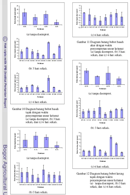 Gambar 12 Diagram batang bobot kering    tajuk dengan waktu                        penyemprotan unsur kelumit (a) tanpa disemprot, (b) 3 hari                       sekali, dan (c) 6 hari sekali