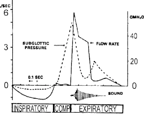 Gambar 1. Skema diagram menggambarkan aliran dan perubahan tekanan subglotis  selama, fase inspirasi, fase kompresi dan fase ekspirasi batuk 