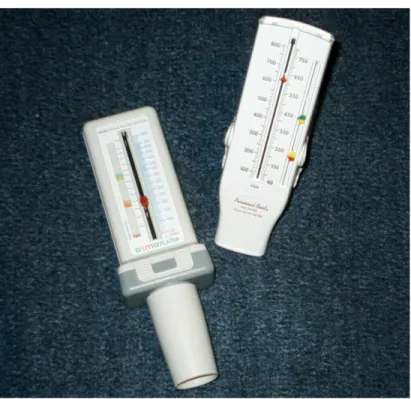 Gambar 9 .peak flow meter  Sumber : Santosa 8