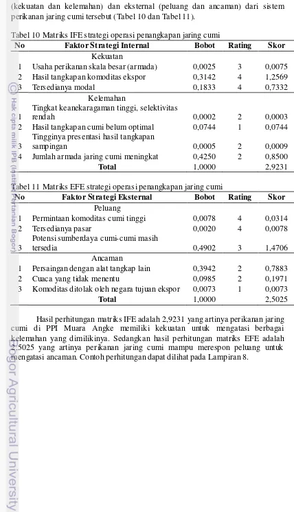 Tabel 10 Matriks IFE strategi operasi penangkapan jaring cumi 