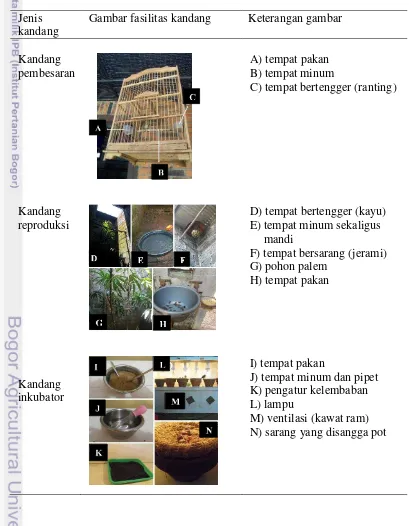 Tabel 6 Fasilitas kandang cucak rawa di penangkaran MBOF 