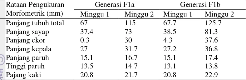 Tabel 14 Perbandingan pertumbuhan anakan cucak rawa di MBOF 