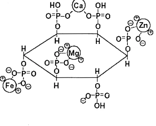 Gambar 1 Struktur asam fitat (Ravidran 2000). 