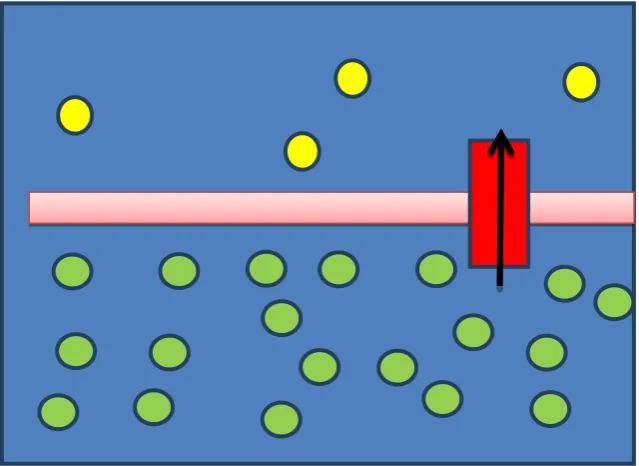 Figure 2.6: Process of diffusion from region of high concentration to low concentration [6] 