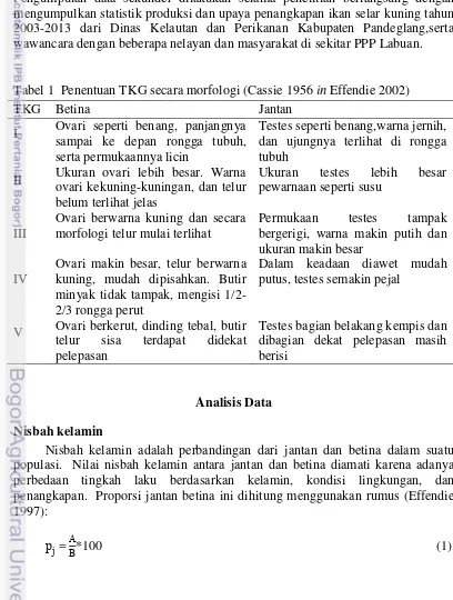 Tabel 1  Penentuan TKG secara morfologi (Cassie 1956 in Effendie 2002) 