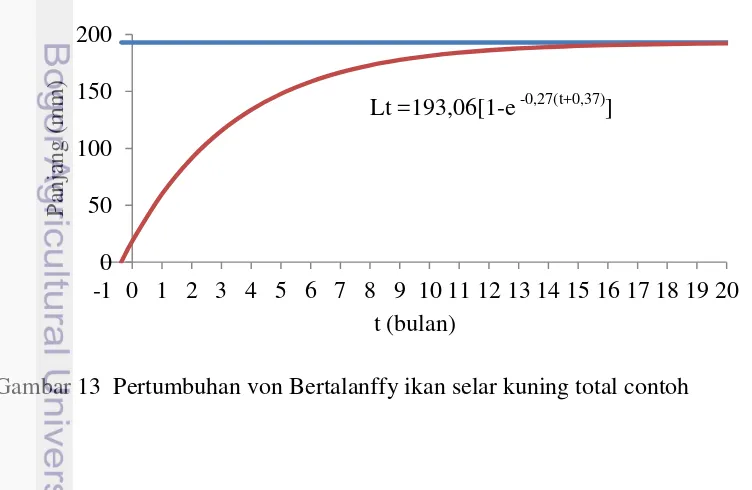 Gambar 13  Pertumbuhan von Bertalanffy ikan selar kuning total contoh 