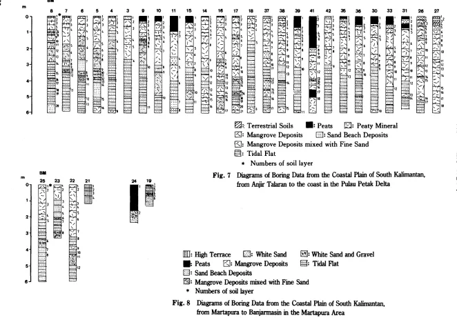 Fig.7Diagrams of Boring Data from the Coastal Plain of South Kalimantan,