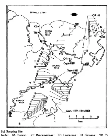 Fig. 2Field Study Area in the Coastal Plain of Jambi