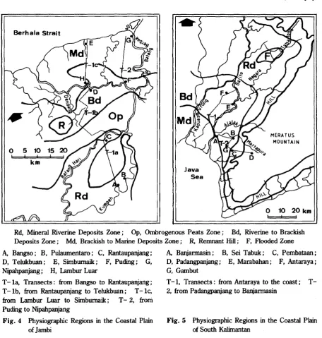 Fig. 5Physiographic Regions in the Coastal Plain