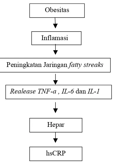 Gambar 3. Bagan alur hubungan antara status gizi dengan kadar hsCRP 