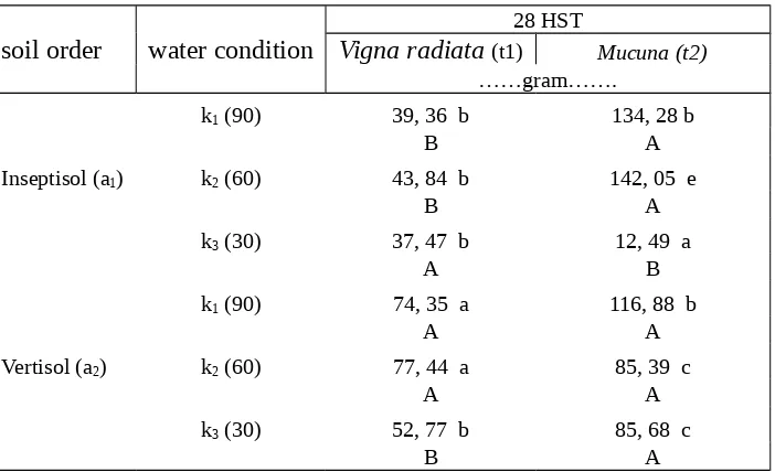 Table 12. The content of N-organic (mGram) of Vigna radiata (t1) and Mucuna (t2) atdifferent soil order (a) and water condition (k) at 28 DAP