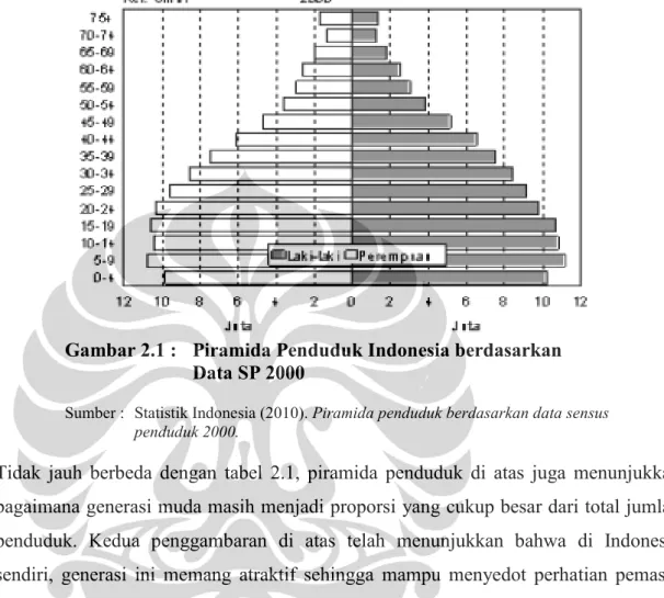 Gambar  2.1  di  bawah  juga  dapat  memberikan  gambarakan  komposisi  penduduk  Indonesia yang dapat ditampilkan melalui piramida penduduk