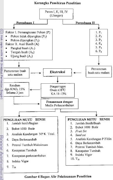 Gambar 4 Bagan AIir Pelaksanaan Penelitian 