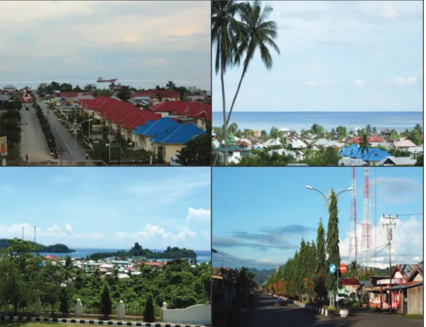 Gambar 1.11. Kondisi Wilayah Weda 