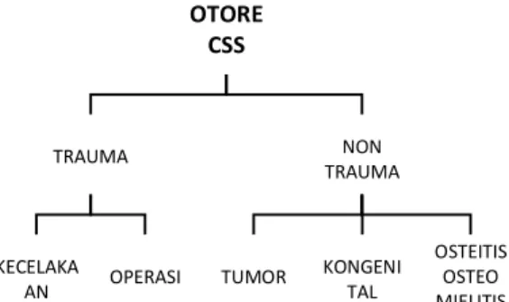 Gambar 3. Klasifikasi Otore CSS. 1