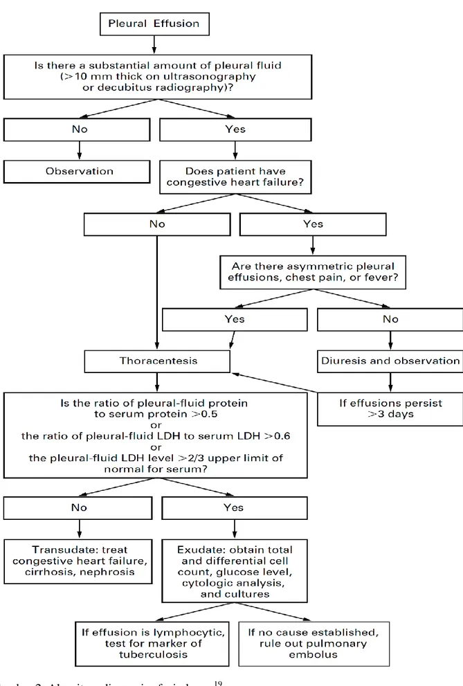Gambar 2. Algoritma diagnosis efusi pleura  19
