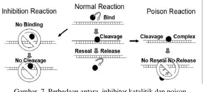 Gambar  7  Perbedaan antara  inhibitor katalitik dan poison    