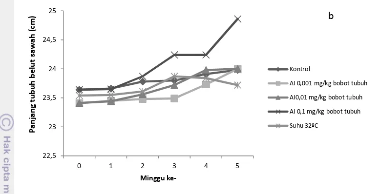 Tabel 4  Persentase jenis kelamin dan rata-rata ukuran panjang tubuh belut sawah 