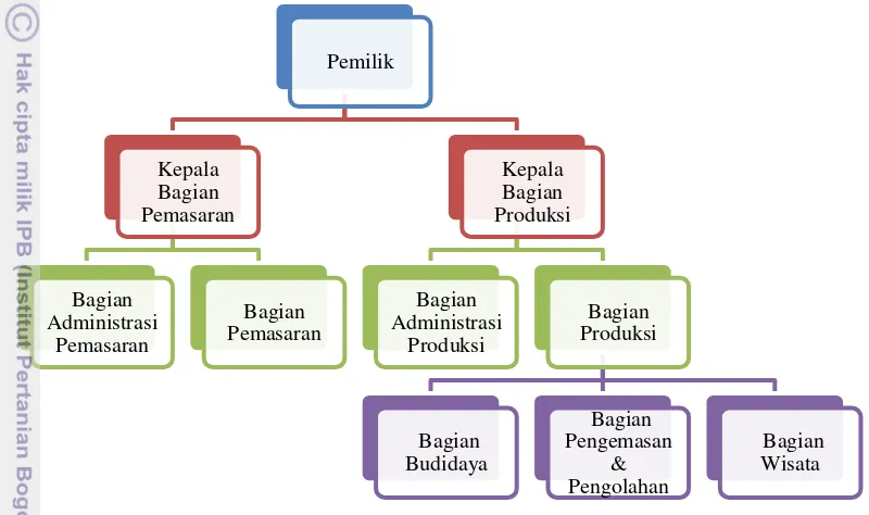 Gambar 6 Struktur organisasi pada Puncak Berry Farm 