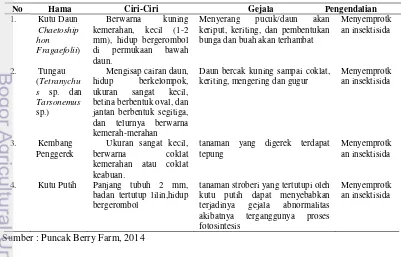 Tabel 6 Pengendalian hama pada stroberi 