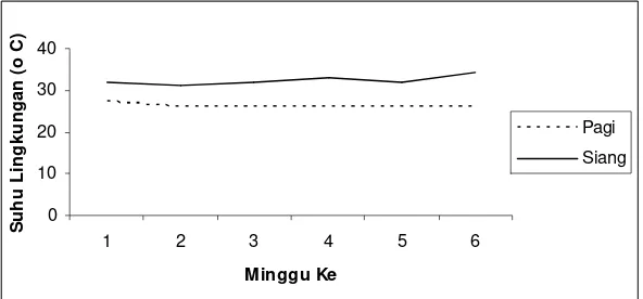 Gambar 4.  Suhu lingkungan kandang 