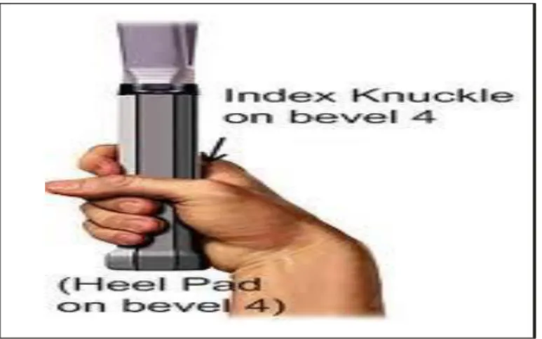 Gambar 3. Western Grip