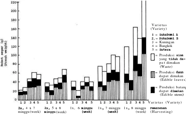 Gambar 2, Grafik Histogram Produksi 