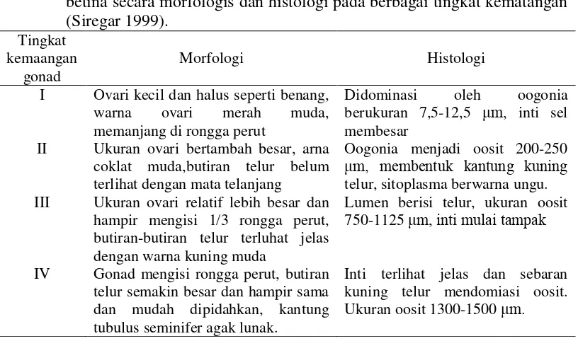 Tabel 4 Kriteria perkembangan gonad ikan patin siam (Pangasius hypopthalamus) betina secara morfologis dan histologi pada berbagai tingkat kematangan (Siregar 1999)