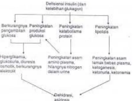Gambar 3. Patofisilogi defisiensi insulin  