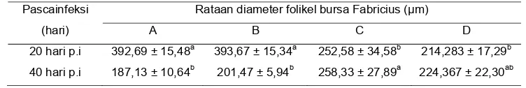 Tabel 3   Rataan diameter folikel bursa Fabricius (µm) ayam 20 dan 40 hari                 pascainfeksi (p.i.) 