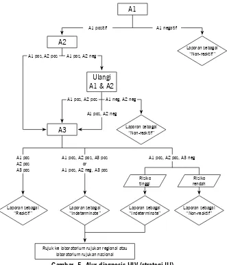 Gambar  5. Alur diagnosis HIV (strategi III)