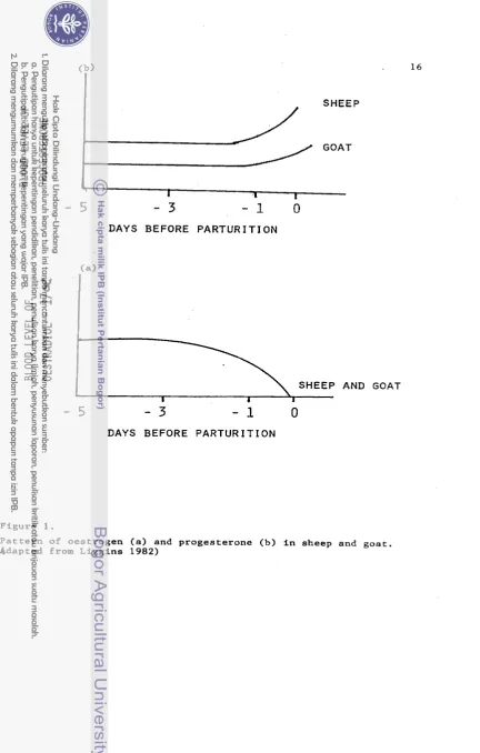 Figure 1. Pattern of oestrogen (a) and progesterone (b) in sheep and goat. 