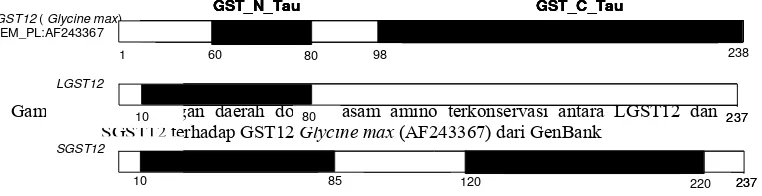 Gambar 8 Perbandingan daerah domain asam amino terkonservasi antara LGST12 dan 1010101080808080