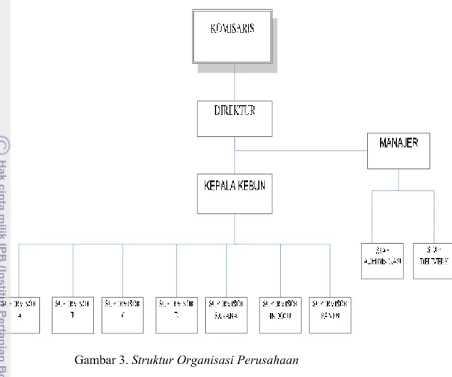 Gambar 3. Struktur Organisasi Perusahaan