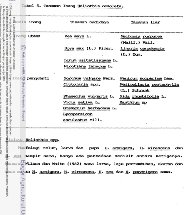 Tabel  5.  Tanaman  Inang  H e l i o t h i s   obsoleta. 