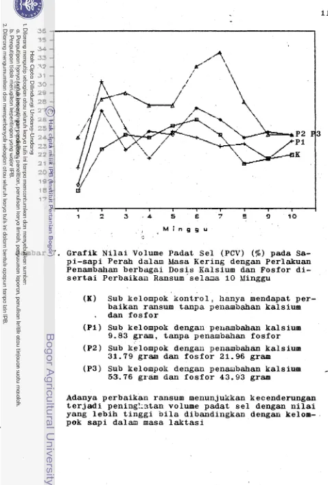 Gambar 7. Grafik N i l a i  Volume Padat Sel (PCV) (%) pada Sa- 