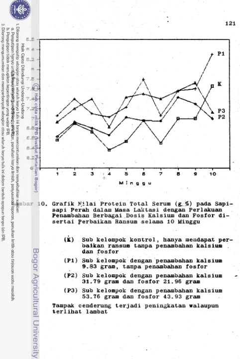Grafik xllai Penambahan Berbagai.Dosis sap1 Per& Protein Total Serum pada Sapi- dalam Masa Laktasi dengan Perlalsuan K a l s i u m  dan Fosfor di- 