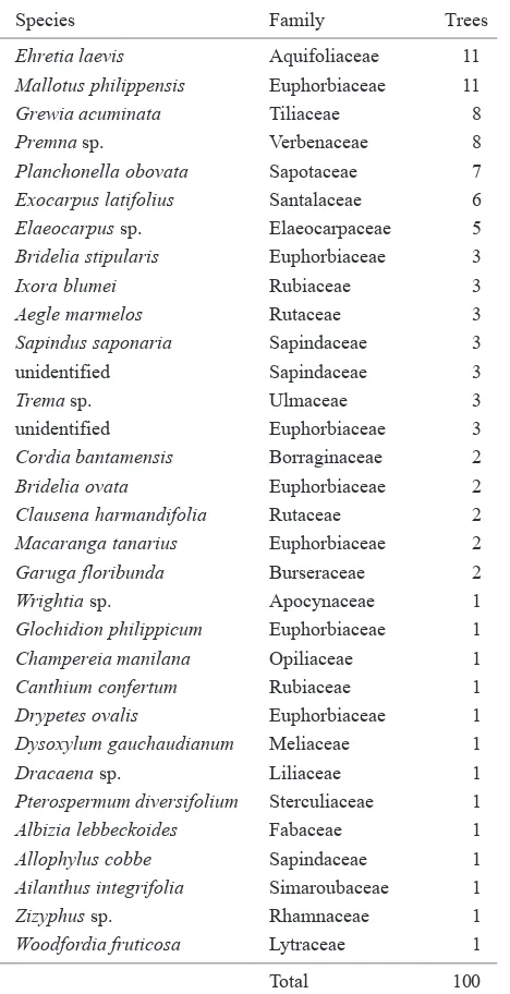 Table 3.  Tree species composition in a sample of 100 trees > 5 cm in dbh in a primary forest at Leter S on the eastern part of Sumba Island, Indonesia 
