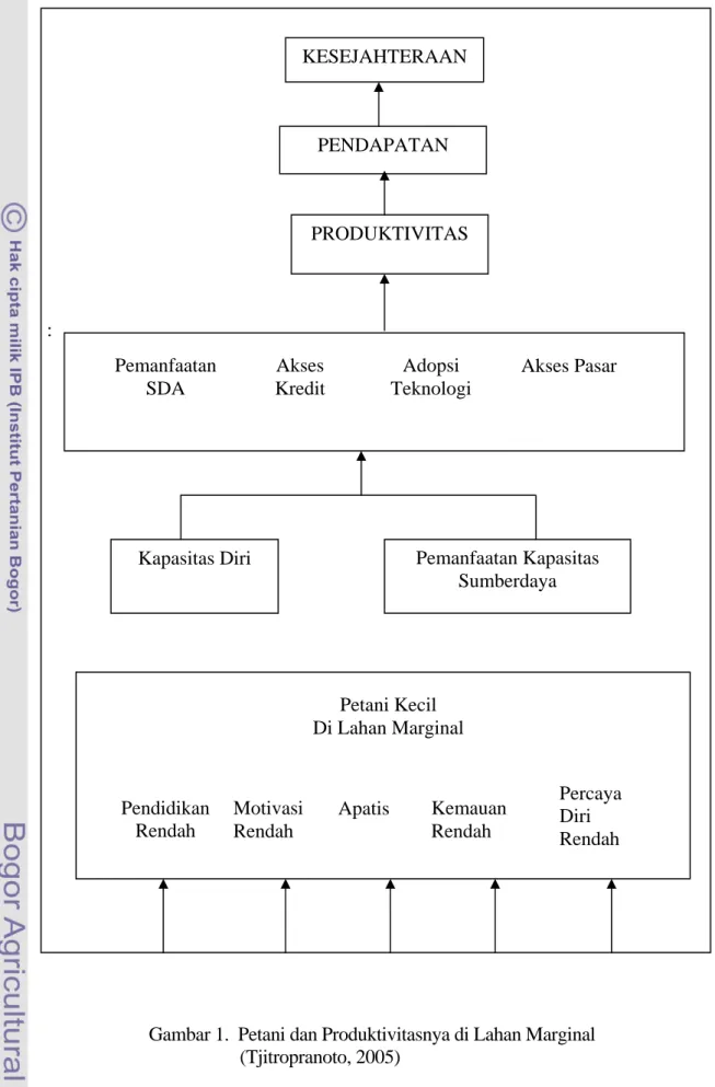 Gambar 1.  Petani dan Produktivitasnya di Lahan Marginal                                            (Tjitropranoto, 2005) 