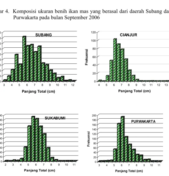 Gambar 5.  Komposisi ukuran benih ikan nila yang berasal dari daerah Subang,  Cianjur, Sukabumi dan Purwakarta pada bulan September 2006 